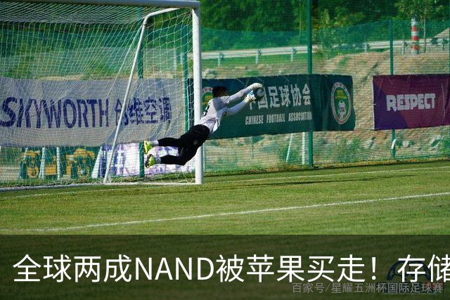 全球两成NAND被苹果买走！存储采购内幕曝光：不卖就让你跪着爬回来