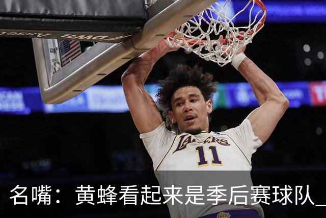 名嘴：黄蜂看起来是季后赛球队 米勒有望达到皮尔斯&双探花的级别