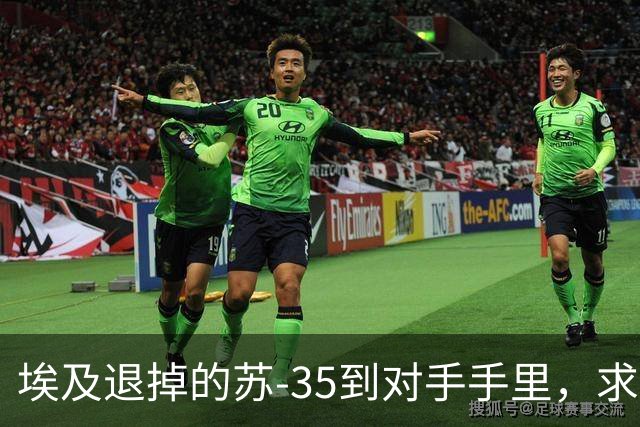 埃及退掉的苏-35到对手手里，求锤得锤，歼-10C成唯一解药