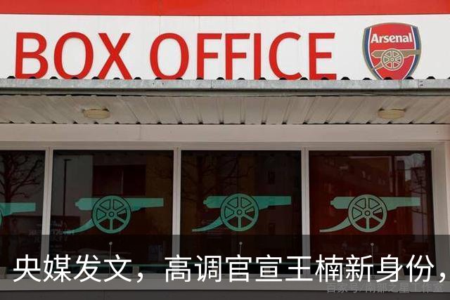 央媒发文，高调官宣王楠新身份，资产查封被带走调查传闻早有真相