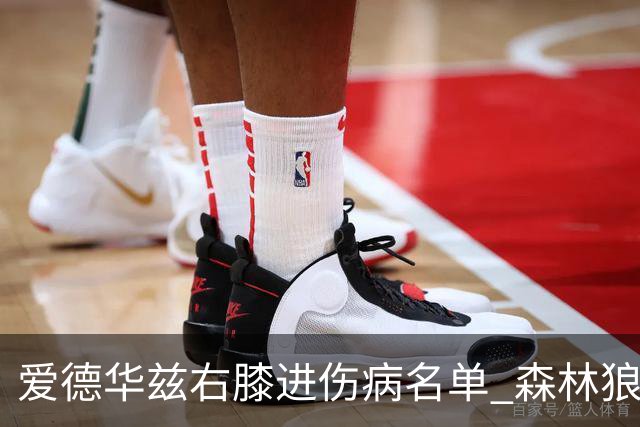 爱德华兹右膝进伤病名单 森林狼战骑士存变数