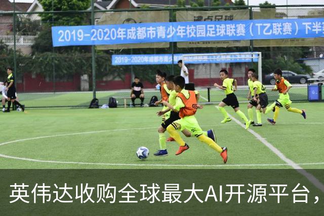英伟达收购全球最大AI开源平台，遭美国调查