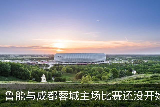 鲁能与成都蓉城主场比赛还没开始踢，这位王牌队长就决定提前结束本赛季征程