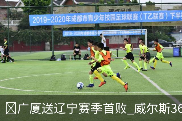 🏀广厦送辽宁赛季首败 威尔斯36+7+5 孙铭徽伤退 库珀16+6+11